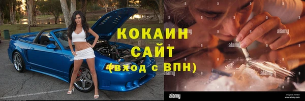 PSILOCYBIN Белокуриха